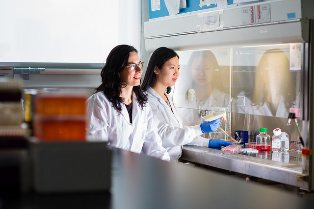 Radisic-in-lab-byNeilTa Milica Radasic in a lab with graduate student